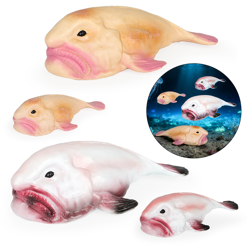 Oenux Australia peces de aguas - Kids Education In Australia reseña y precio